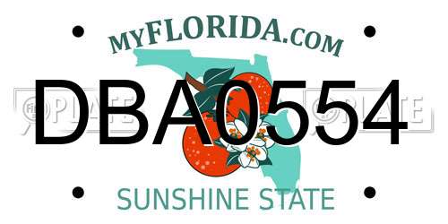 DBA0554 Florida License Plate