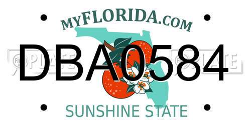 DBA0584 Florida License Plate