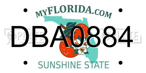 DBA0884 Florida License Plate