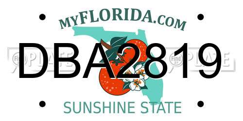 DBA2819 Florida License Plate