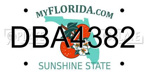 DBA4382 Florida License Plate