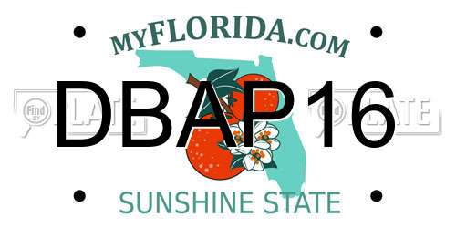 DBAP16 Florida License Plate