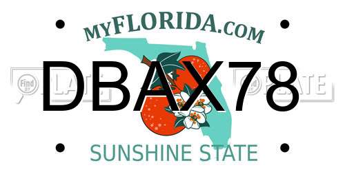 DBAX78 Florida License Plate