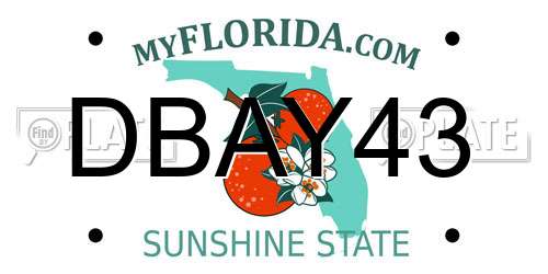 DBAY43 Florida License Plate