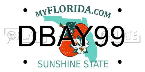 DBAY99 Florida License Plate