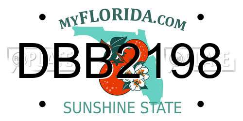 DBB2198 Florida License Plate
