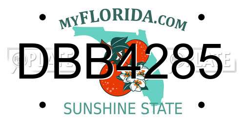 DBB4285 Florida License Plate