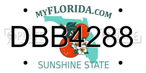 DBB4288 Florida License Plate