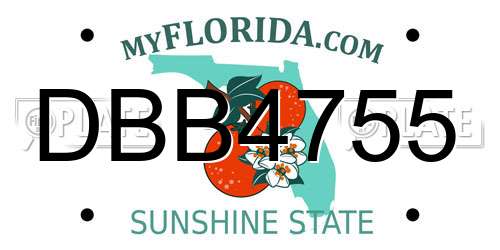 DBB4755 Florida License Plate