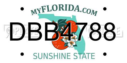 DBB4788 Florida License Plate