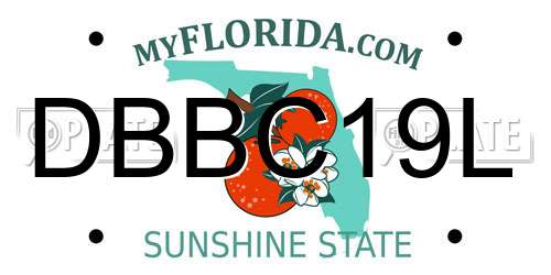 DBBC19L Florida License Plate