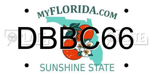 DBBC66 Florida License Plate
