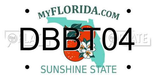 DBBT04 Florida License Plate