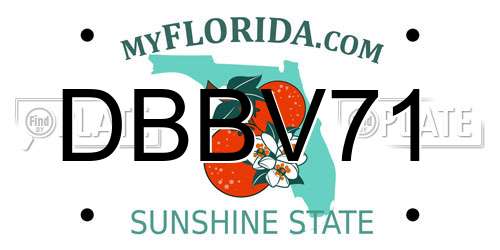 DBBV71 Florida License Plate