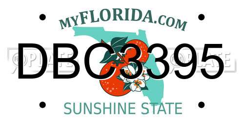 DBC3395 Florida License Plate