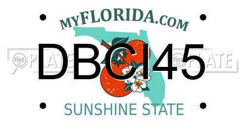 DBCI45 Florida License Plate