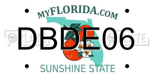 DBDE06 Florida License Plate