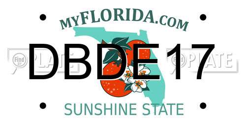DBDE17 Florida License Plate