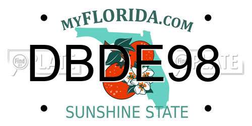 DBDE98 Florida License Plate