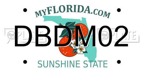 DBDM02 Florida License Plate