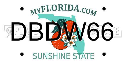 DBDW66 Florida License Plate