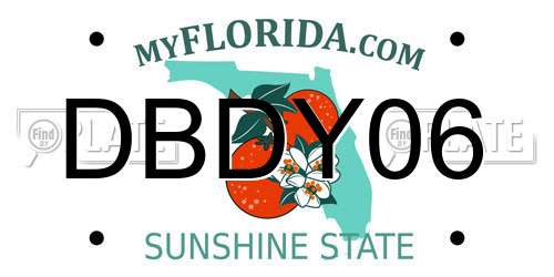 DBDY06 Florida License Plate