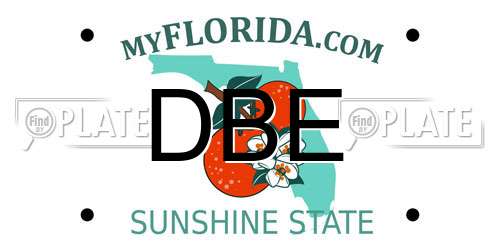 DBE Florida License Plate