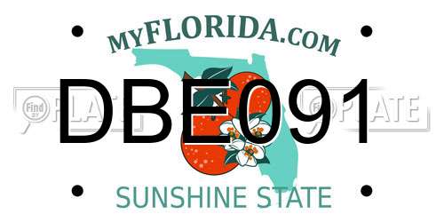 DBE091 Florida License Plate