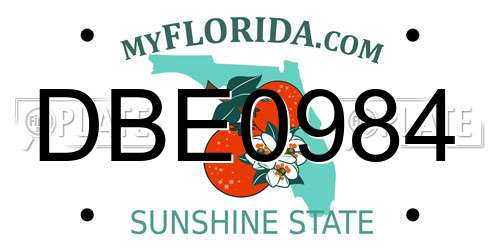 DBE0984 Florida License Plate
