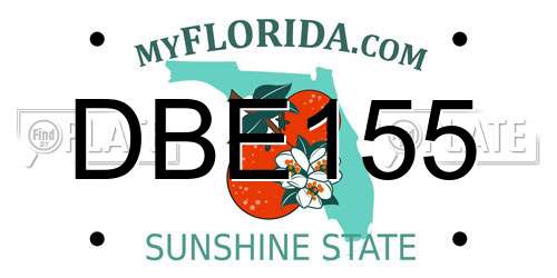 DBE155 Florida License Plate