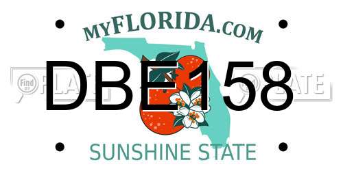 DBE158 Florida License Plate