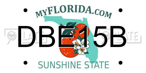 DBE15B Florida License Plate