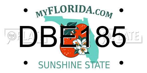 DBE185 Florida License Plate