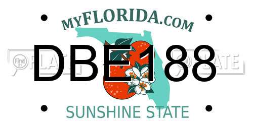 DBE188 Florida License Plate