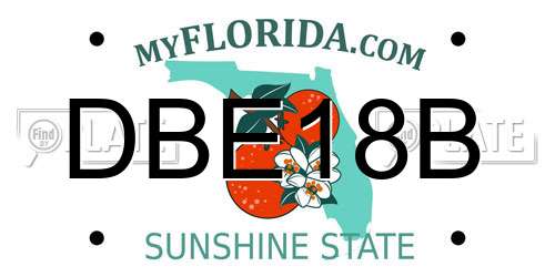 DBE18B Florida License Plate