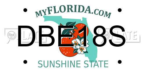 DBE18S Florida License Plate