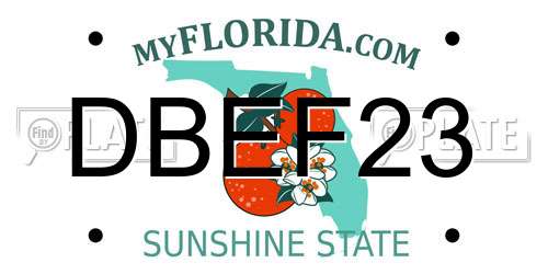 DBEF23 Florida License Plate