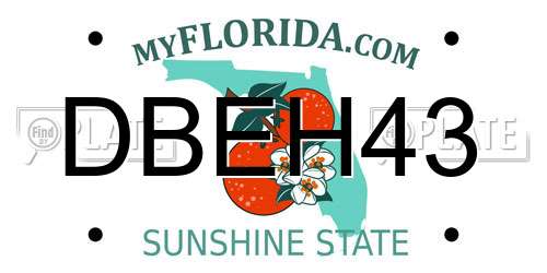 DBEH43 Florida License Plate