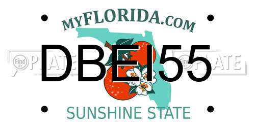 DBEI55 Florida License Plate
