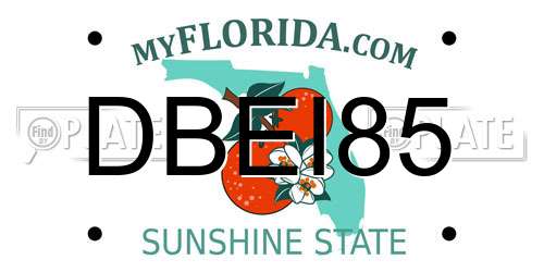 DBEI85 Florida License Plate