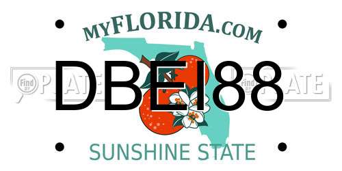 DBEI88 Florida License Plate