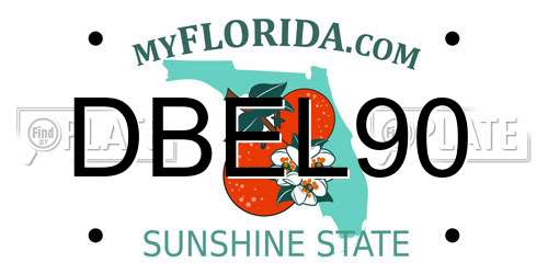 DBEL90 Florida License Plate
