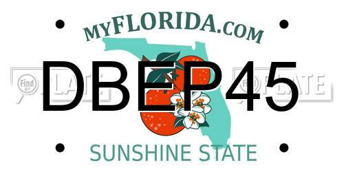 DBEP45 Florida License Plate