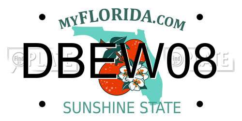 DBEW08 Florida License Plate