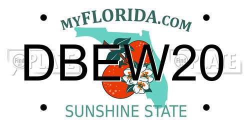 DBEW20 Florida License Plate