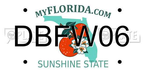 DBFW06 Florida License Plate