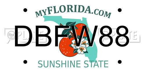 DBFW88 Florida License Plate