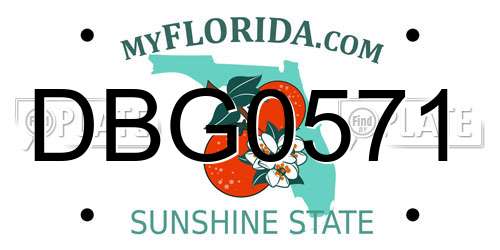 DBG0571 Florida License Plate