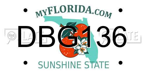 DBG136 Florida License Plate