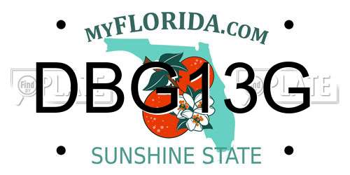 DBG13G Florida License Plate